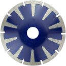 Diamant-Kurvenscheibe DKG - Ø 180 mm