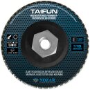 Nozar Diamant Fächerschleifscheibe Taifun