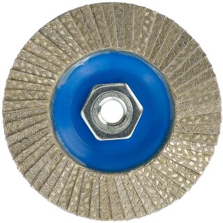 WEFARU Diamant Fächerscheibe DFS